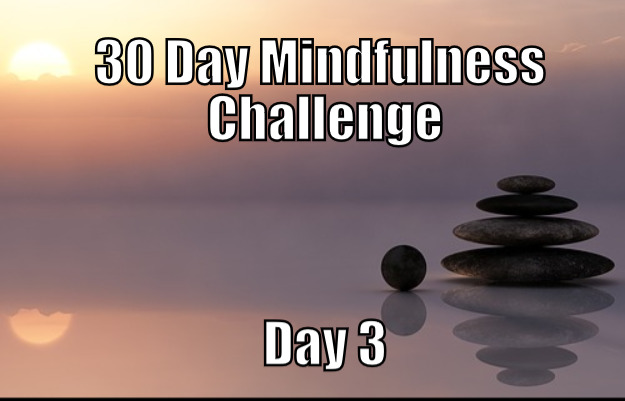 30 Day Meditation Challenge Day 3