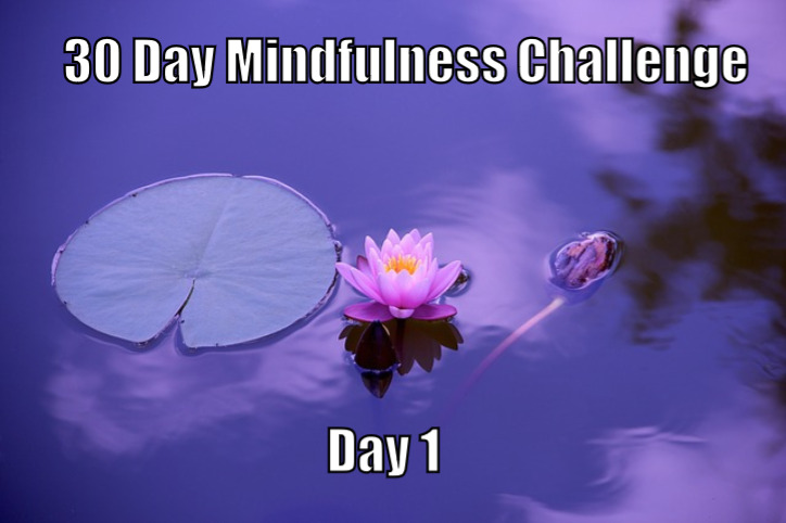 30 Day Mindfulness Challenge Day 1