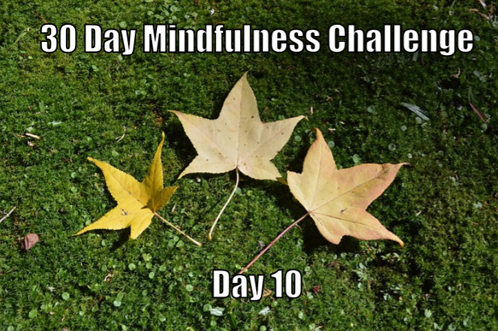 30 Day Mindfulness Challenge Day 10
