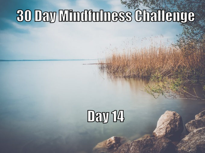 30 Day Mindfulness Challenge Day 14