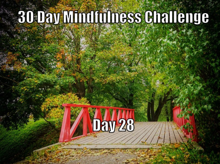 30 Day Mindfulness Challenge Day 28 Cool Happy Life Blog