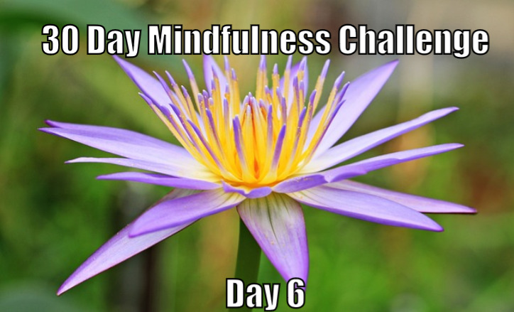 30 Day Mindfulness Challenge Day 6