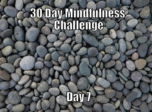 30 Day Mindfulness Challenge Day 7