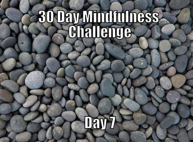 30 Day Mindfulness Challenge Day 7