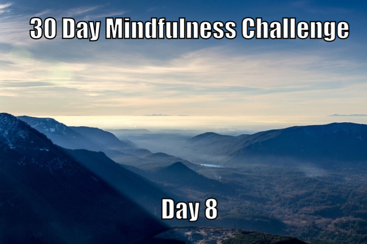 30 Day Mindfulness Challenge Day 8