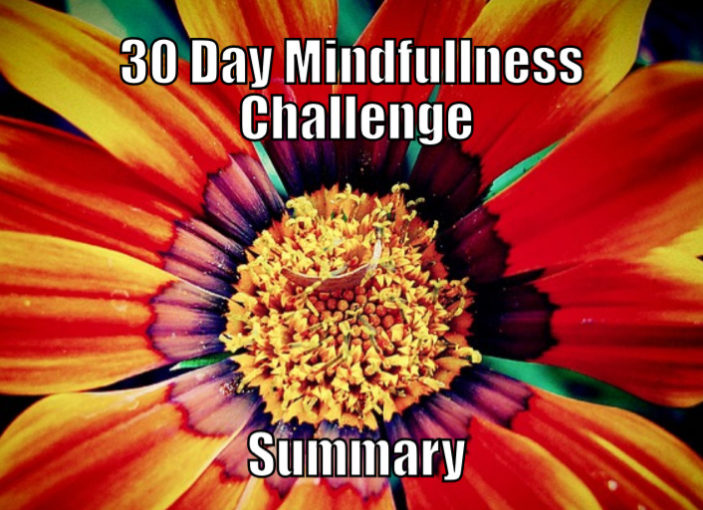 30 Day Mindfulness Challenge Summary