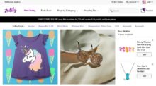 Zulily Great Price Great Products
