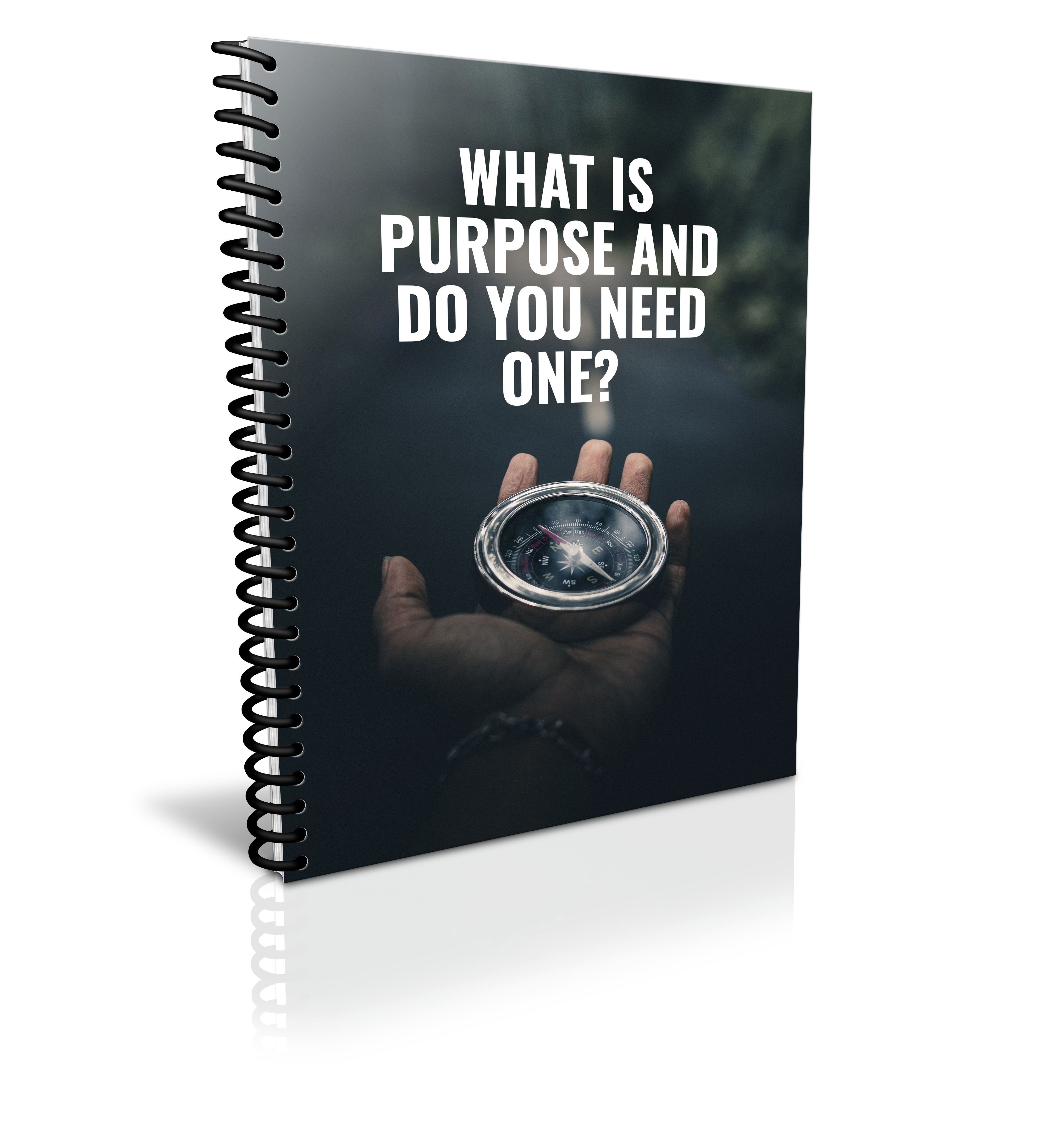 What is Your Purpose and Do You Need One