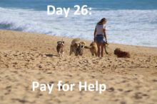Pay for Help